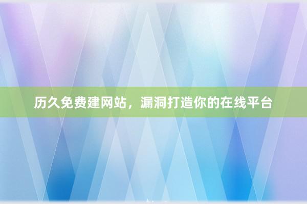 历久免费建网站，漏洞打造你的在线平台
