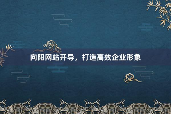 向阳网站开导，打造高效企业形象