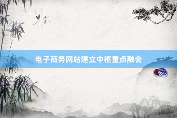 电子商务网站建立中枢重点融会