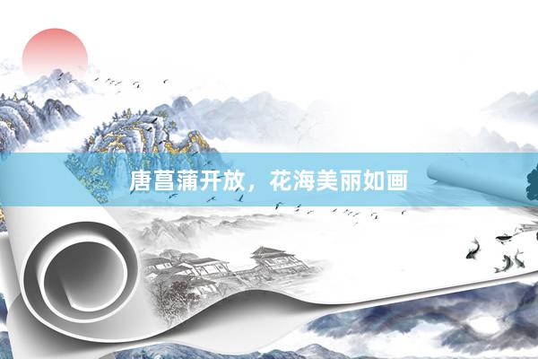唐菖蒲开放，花海美丽如画