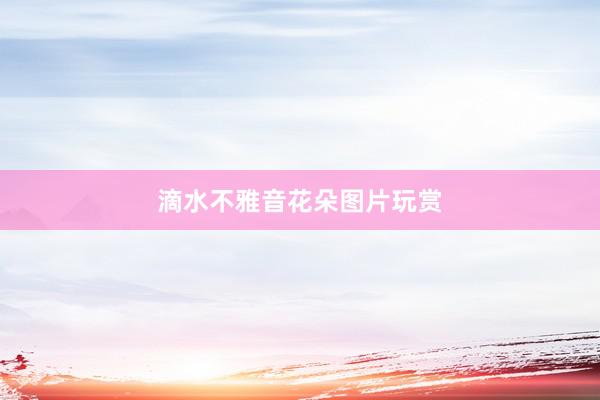 滴水不雅音花朵图片玩赏