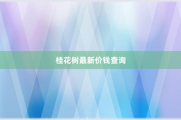 桂花树最新价钱查询